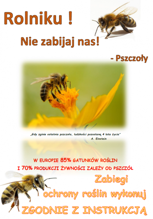 Pszczoły