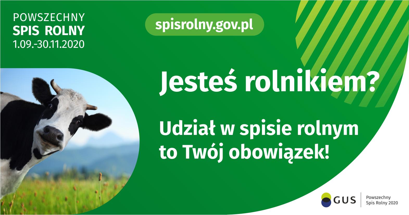 Obowiązek spisowy - grafika na stronę internetową