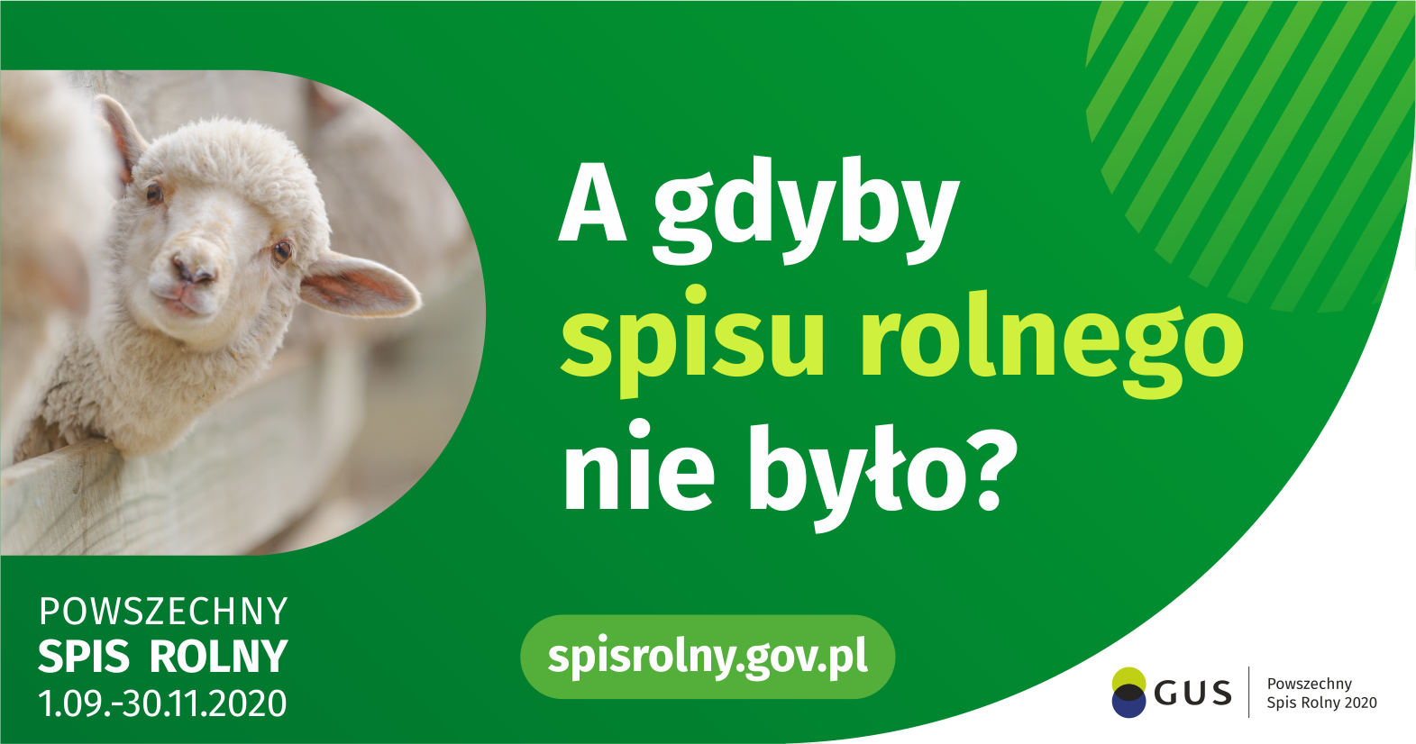 Gdyby nie było spisu