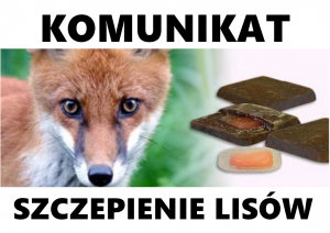 Komunikat szczepienie lisów